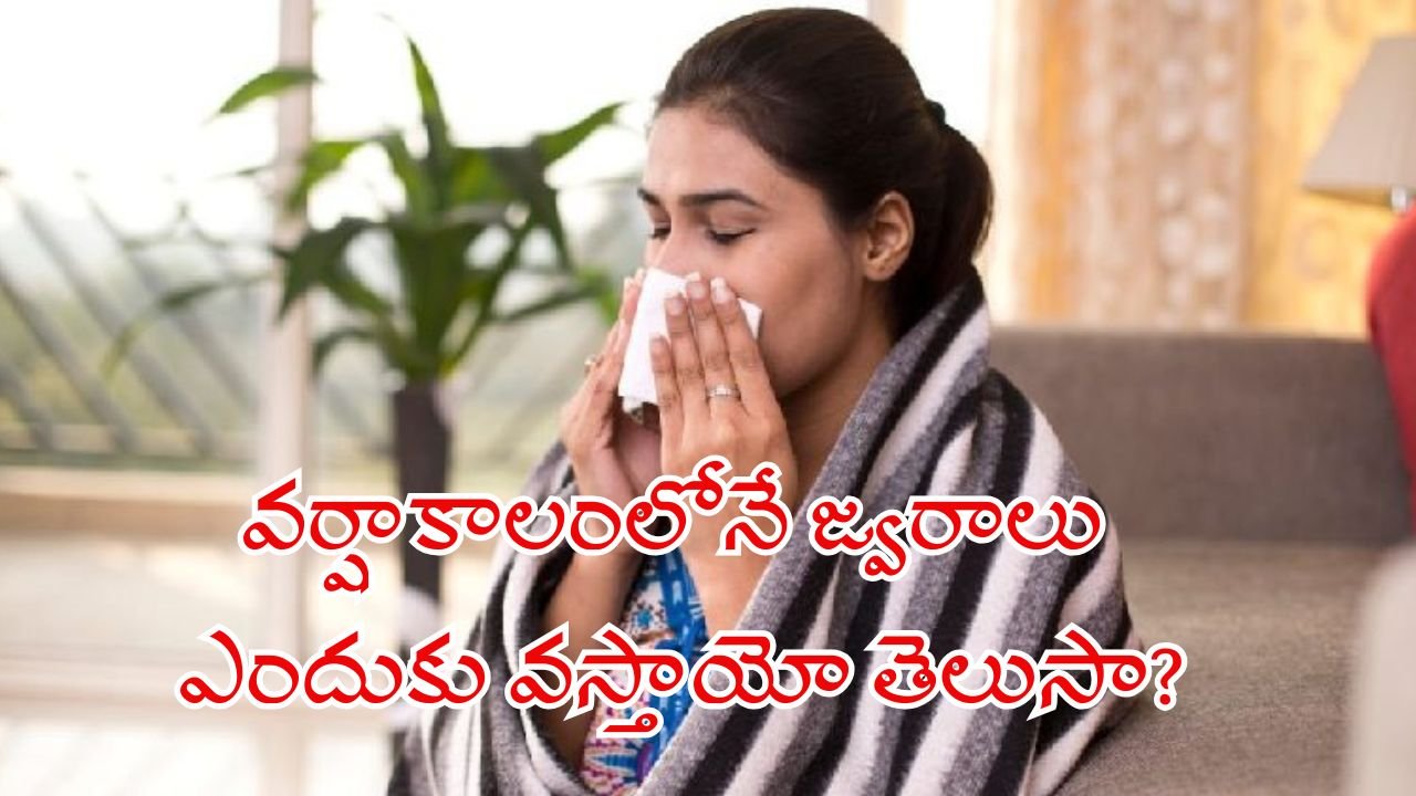 వర్షాకాలంలోనే జ్వరాలు ఎందుకు వస్తాయో తెలుసా?