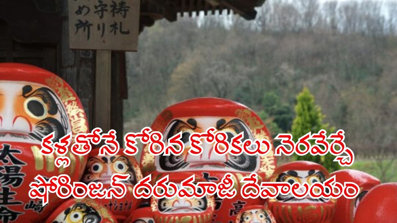 Shorinzan Darumaji Temple in Japan– The Sacred Shrine Where Wishes Come True with Just a Glance