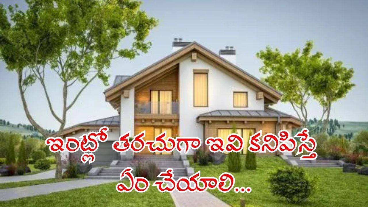 What to Do If These Things Frequently Appear in Your Home Home Remedies and Vastu Tips