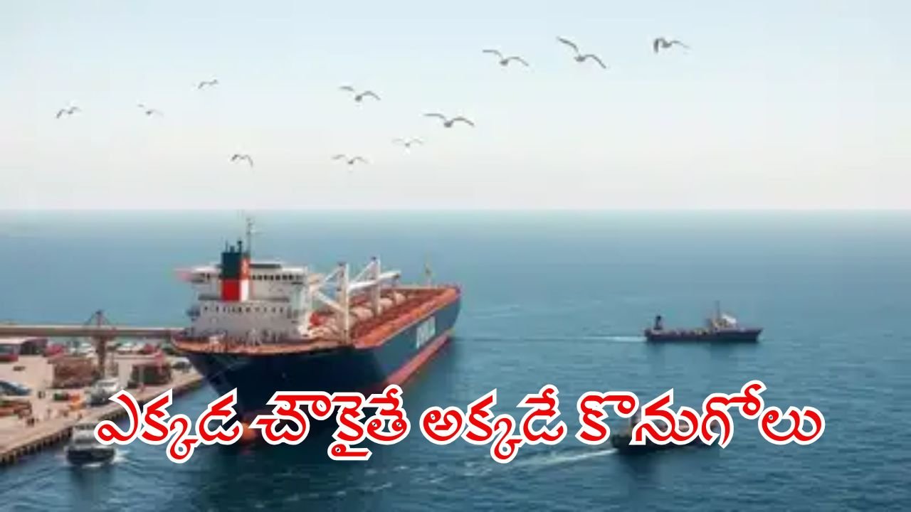 Buy Oil Where It's Cheapest India's Stance on American Supplies Amid Global Competition