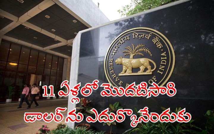 RBI July 2025 No Dollar Purchase
