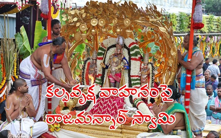 Rajamannar Swamy on Kalpavriksha Vahanam at Tirumala Brahmotsavam