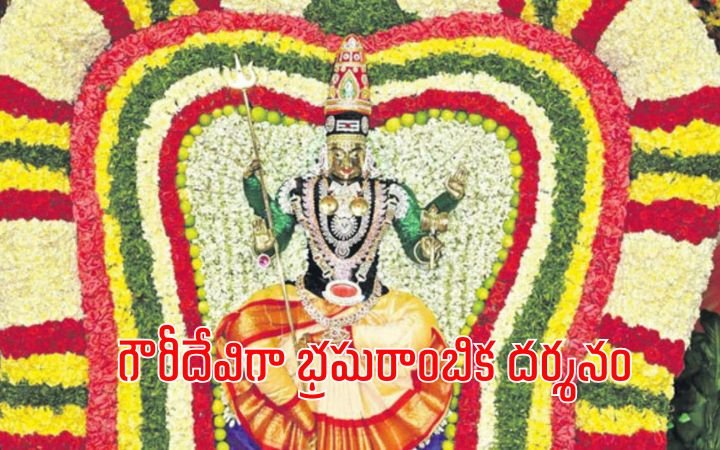Sri Bhramarambika Devi Mahagauri Alankaram 2025