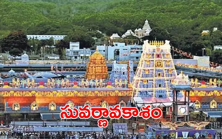 Tirumala Senior Citizens Darshan