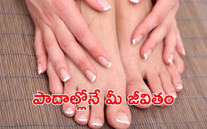 Toe Shapes and Personality Traits