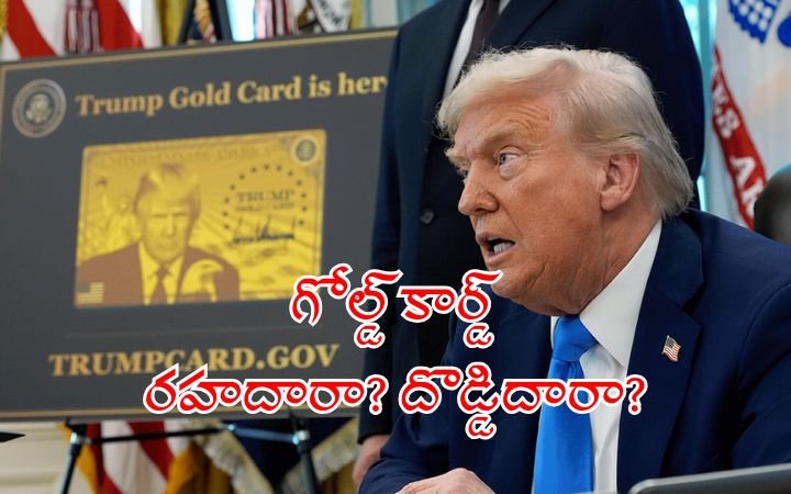 Trump Gold Card Visa
