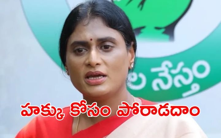 YS Sharmila Voting Comments
