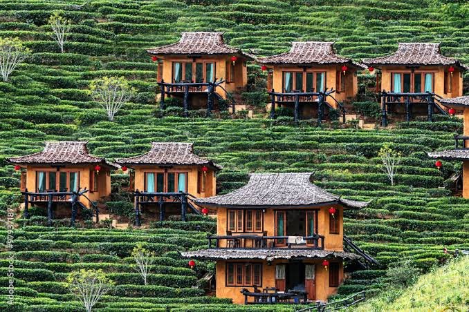 images - 2025-09-07T153608.161