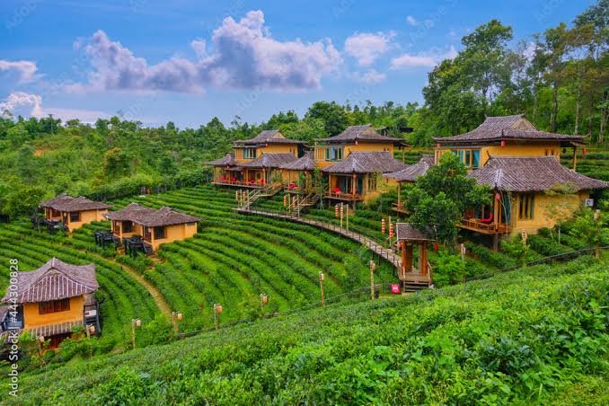 images - 2025-09-07T153614.434