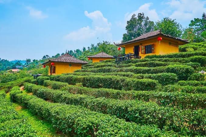 images - 2025-09-07T153627.978