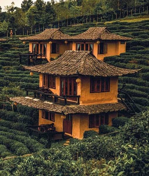 images - 2025-09-07T153702.962