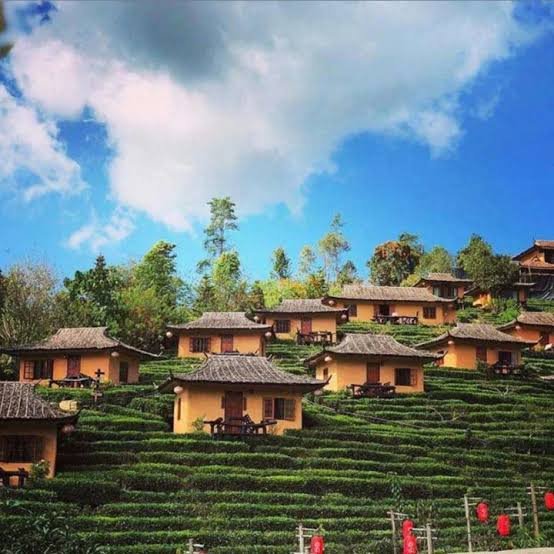 images - 2025-09-07T153801.822