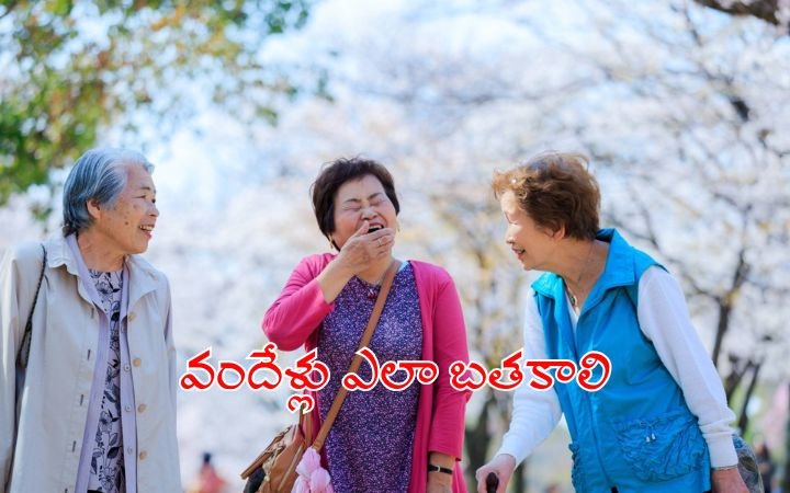 5 Japanese Secrets to Live 100 Years The Proven Longevity Formula for a Healthy and Happy Life