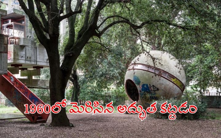 Casa Albero – The Iconic 1960s Treehouse Architecture That Revolutionized Modern Design