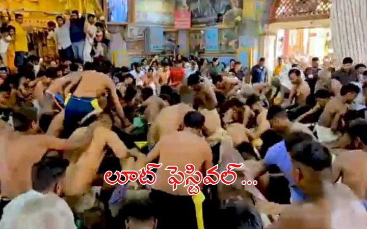 Dakor Temple Prasad Loot Festival in Gujarat – 3000 Kg Offering Shared by Devotees