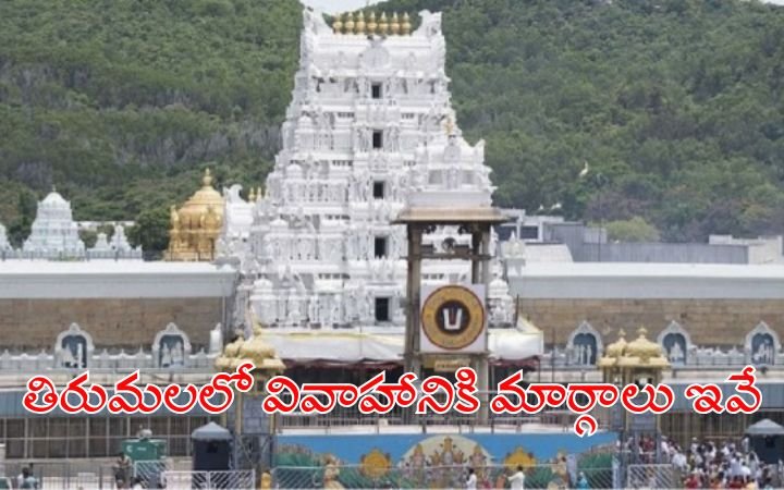 How to Get Married in Tirumala – Complete Guide to TTD Marriage Procedures and Booking Options
