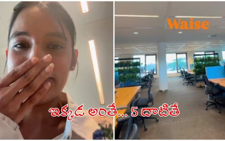 Netherlands Work Culture Viral Video