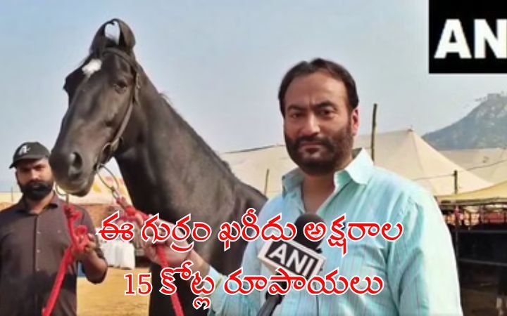 Rs 15 Crore ‘Shahbaz’ Horse from Chandigarh Becomes Star Attraction at Pushkar Cattle Fair