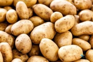 Does Eating Potatoes Cause Weight Gain What Medical Science Really Says