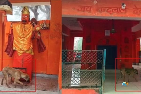 హనుమంతుని విగ్రహం చుట్టూ ప్రదక్షిణ చేస్తున్న శునకం