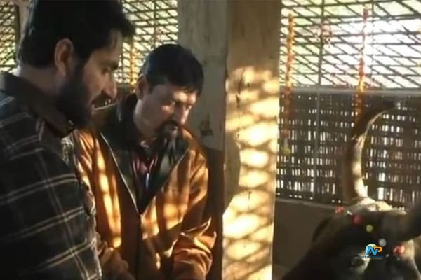 Sonu Sood Donates Rs 11 Lakh to Gaushala in Gujarat, Praises Village’s Cow Protection Efforts