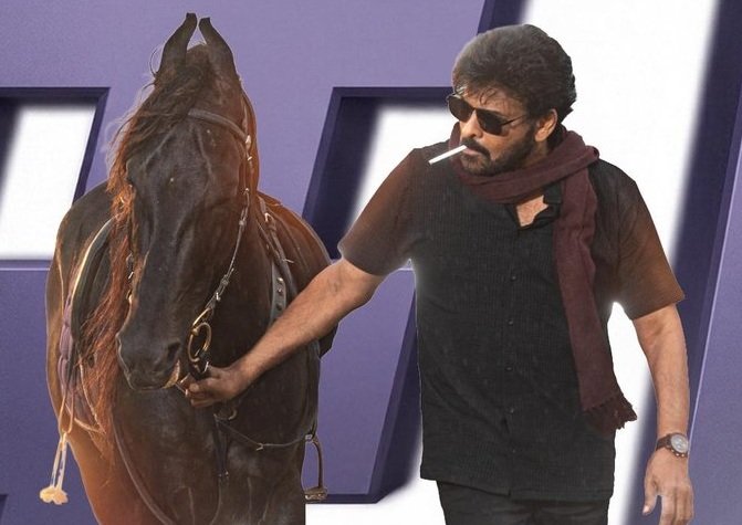 Mana Shankara Vara Prasad Latest Box Office Collection Report | Chiranjeevi Sankranthi Blockbuster
