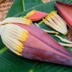Banana Flower Curry Recipe 94-Year-Old Vizianagaram Grandmother’s Traditional Wisdom