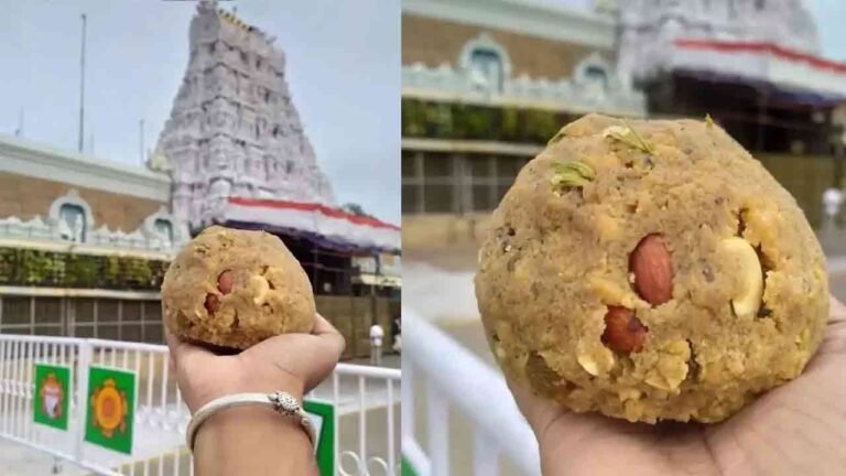 Pedda Jeeyar Swamy Writes to CM Chandrababu Over Tirumala Laddu Ghee Adulteration Issue