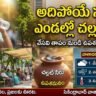 AP and Telangana Weather Update
