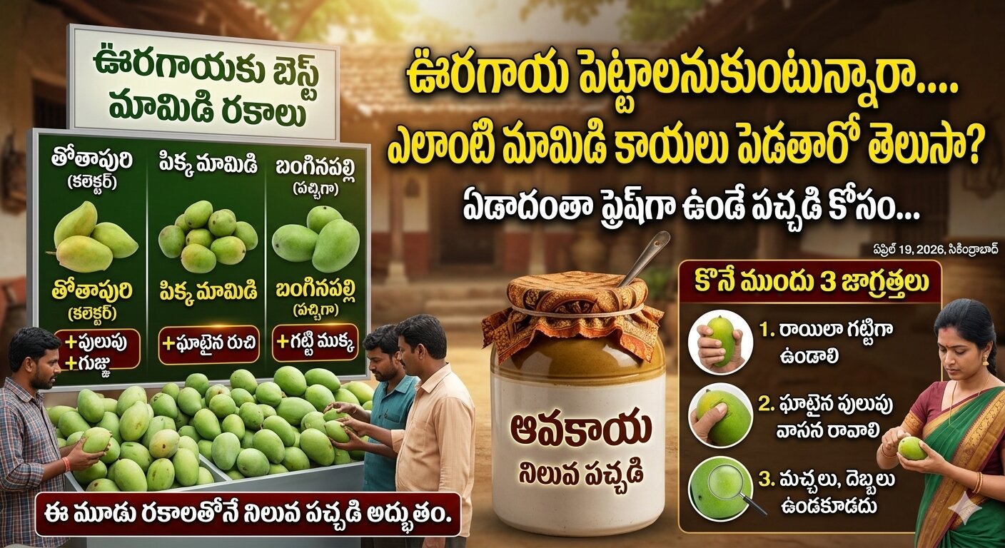 Best Mangoes for Indian Pickle