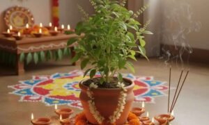 Offer Milk to Tulsi Plant for Prosperity and Divine Blessings